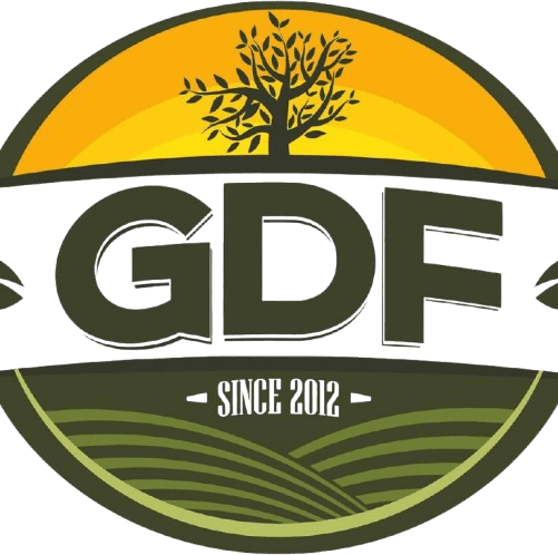 GDF logo
